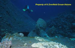 Ceda Pride 9 O-V